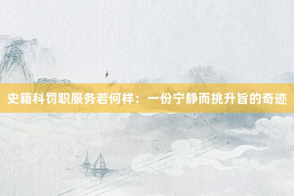 史籍科罚职服务若何样：一份宁静而挑升旨的奇迹