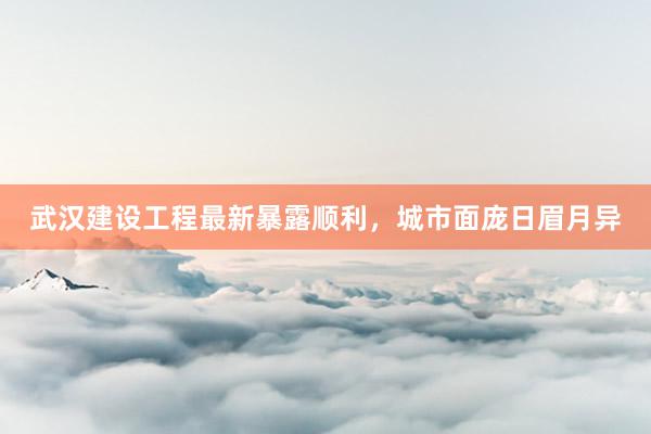 武汉建设工程最新暴露顺利，城市面庞日眉月异